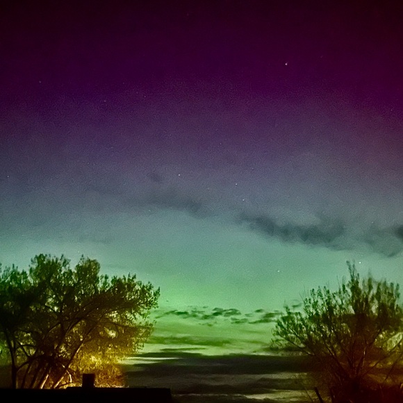 Meet your Posher, Katie - Picture 1 of 1